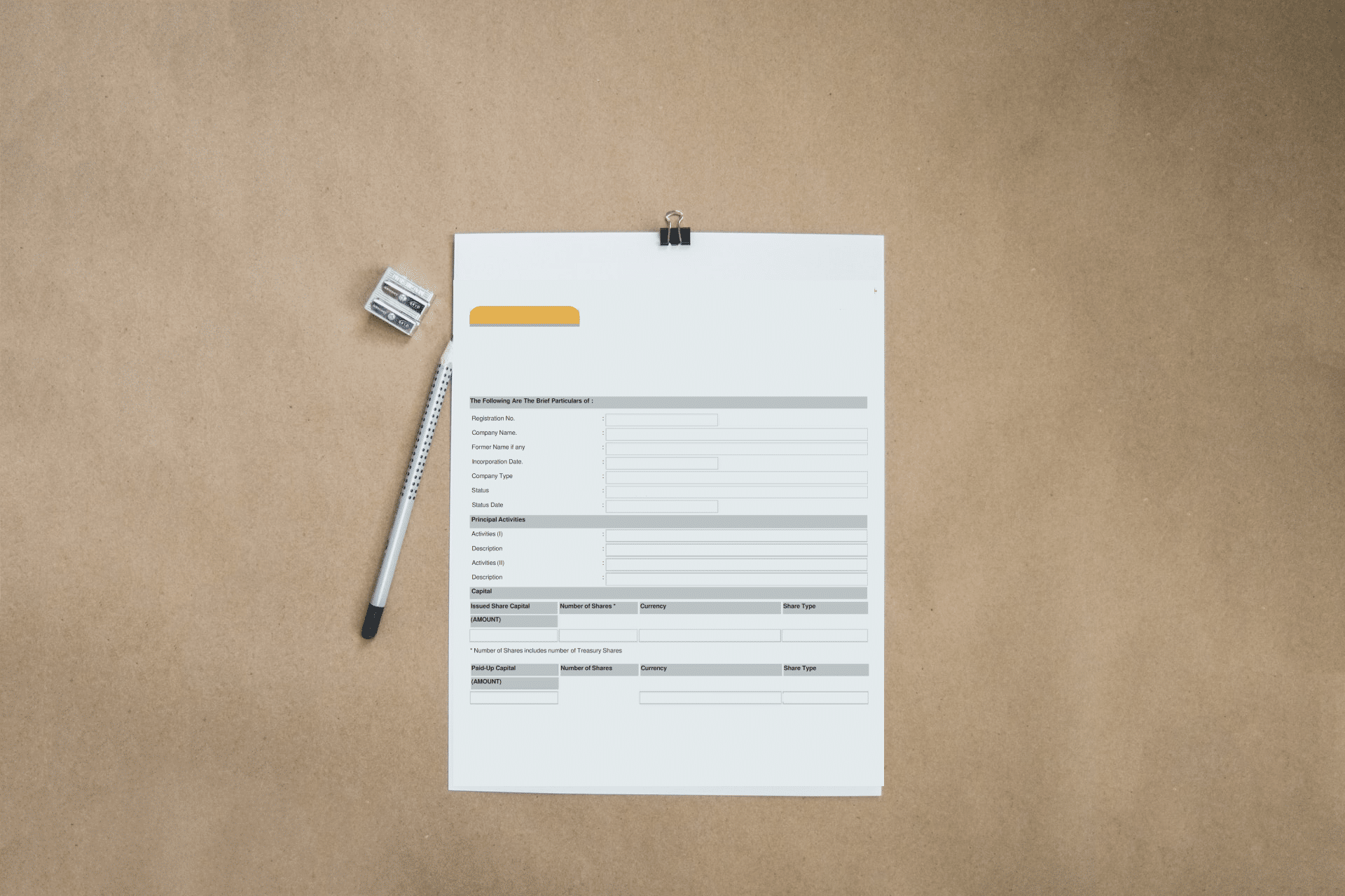 ACRA Business Profile in Singapore: Everything You Need to Know
