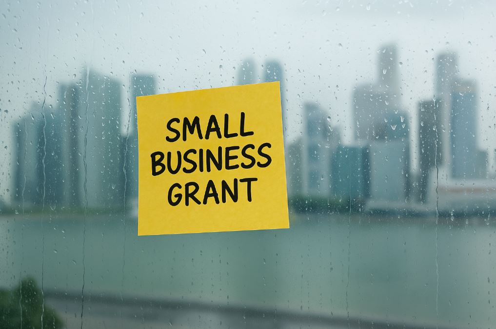 SME grant Singapore 2025
